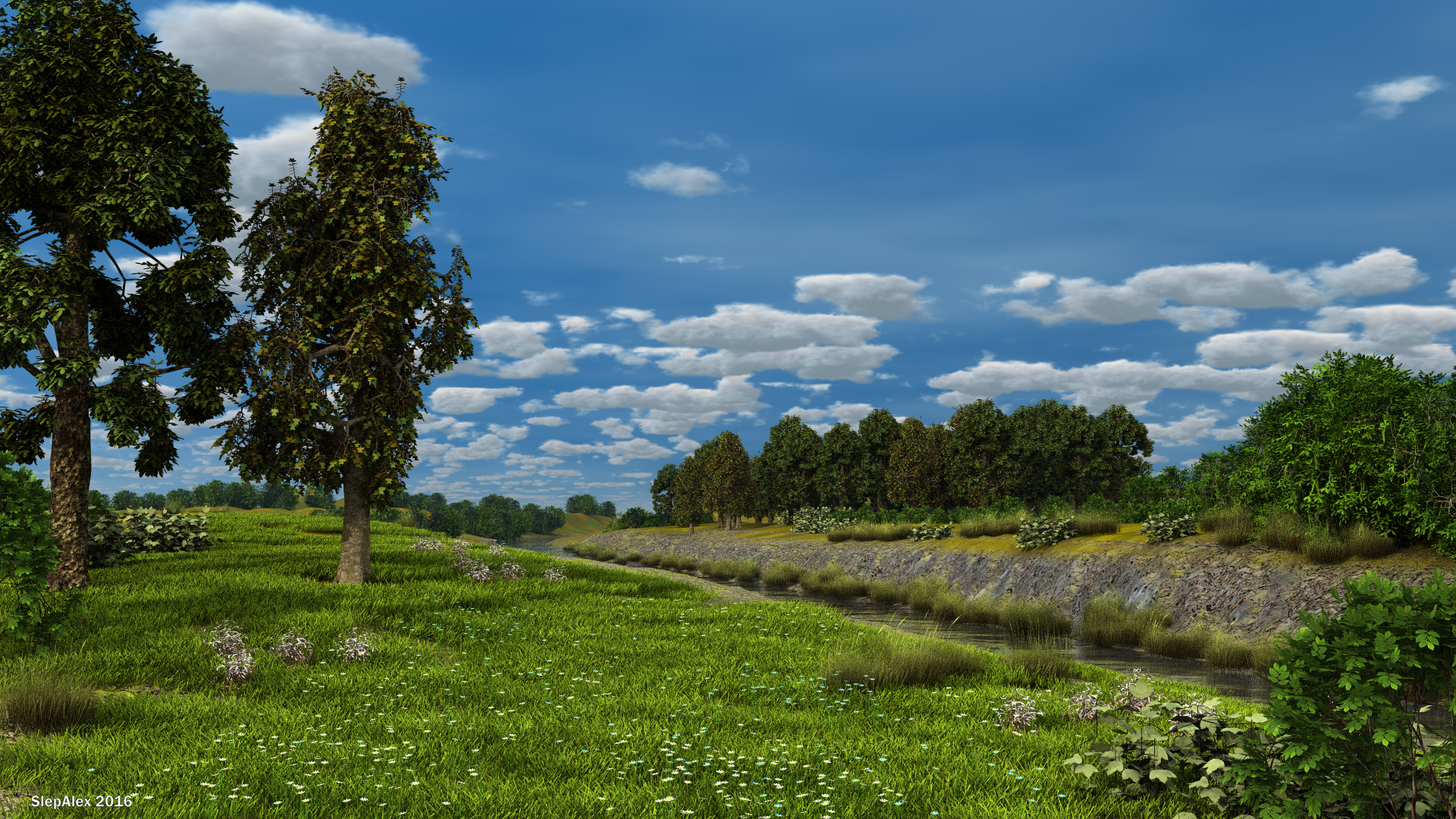 On the river bank