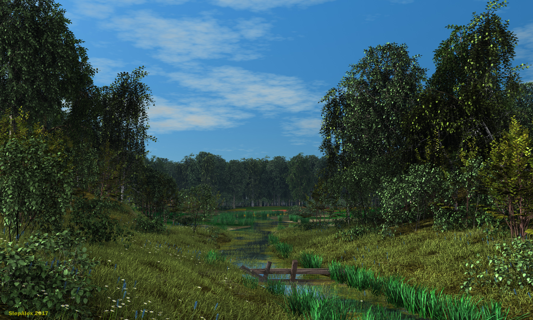 Forest brook 2