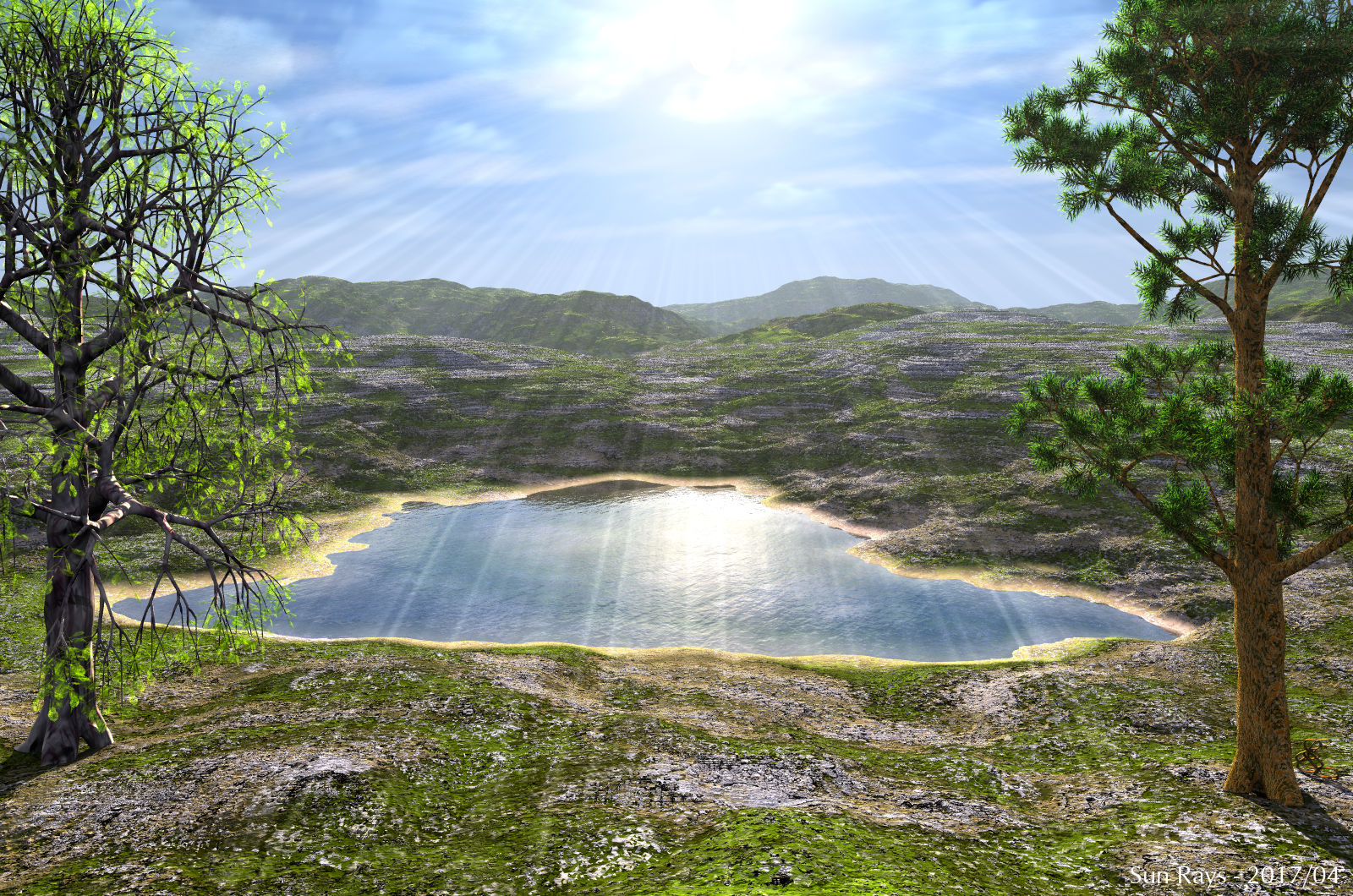 Sun Rays