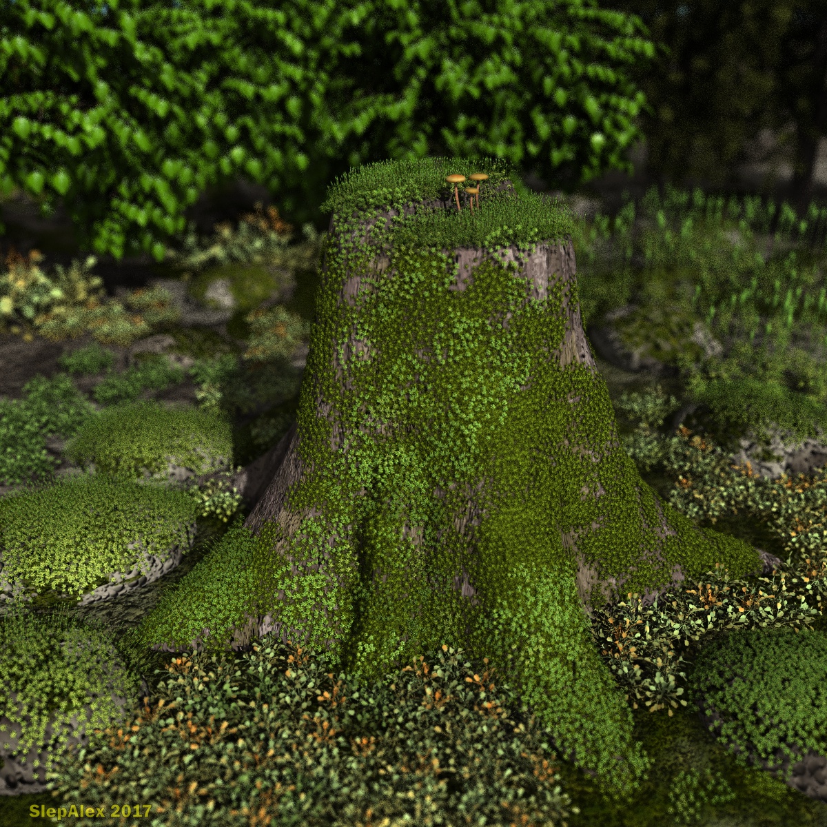 Stump covered with moss
