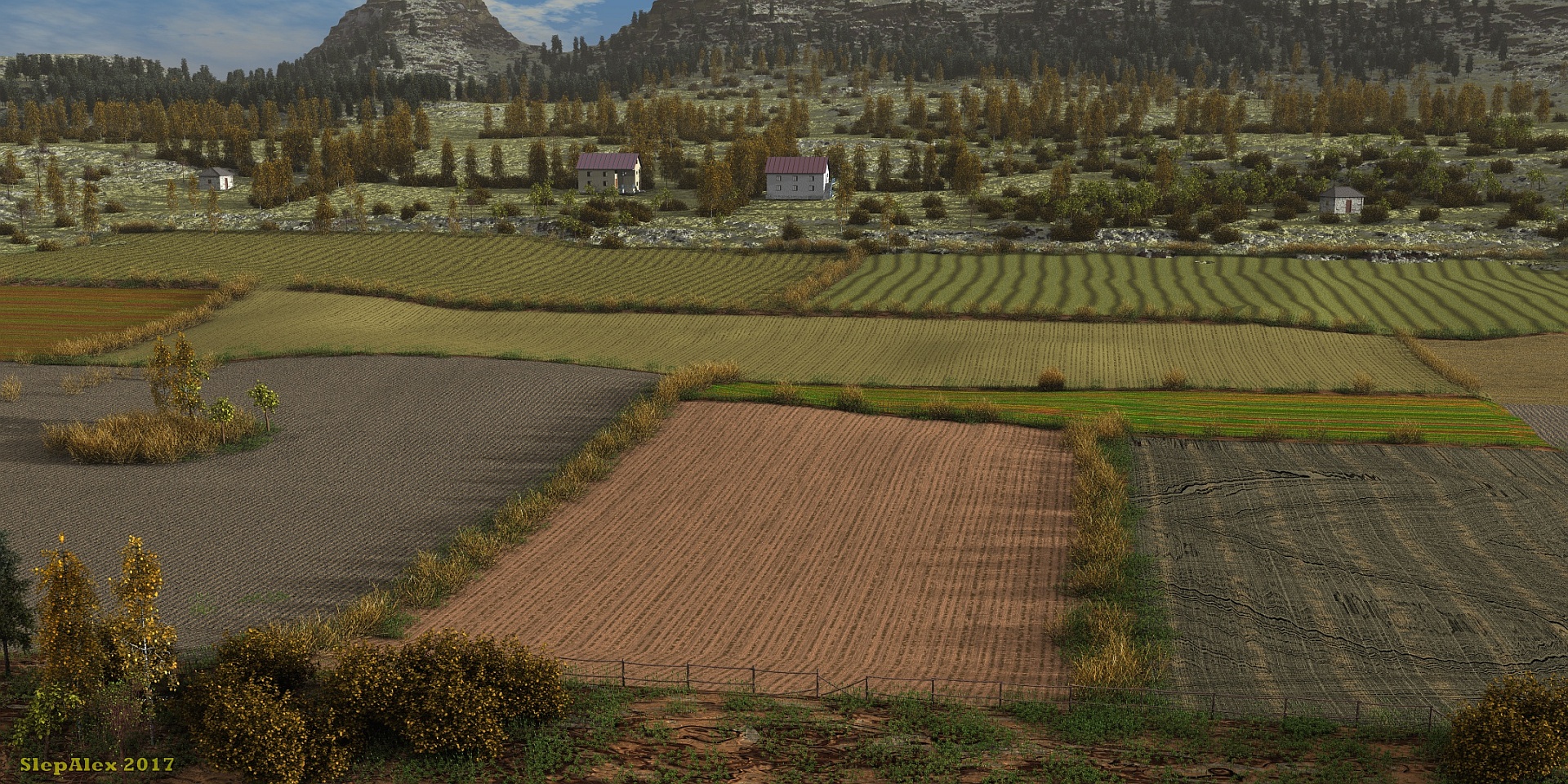 Alpine fields