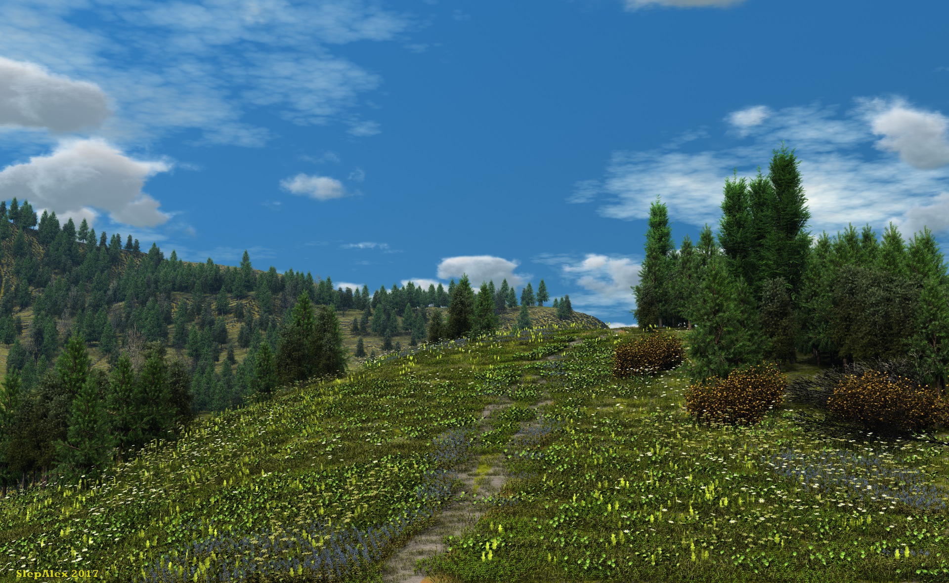 Honey meadow