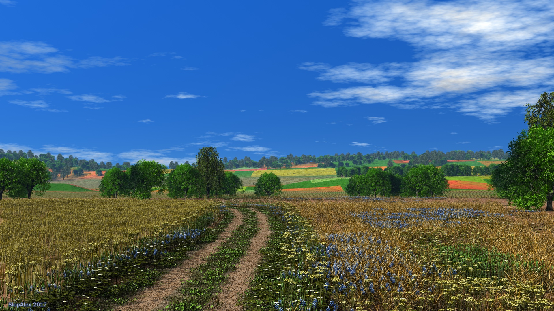 Field road