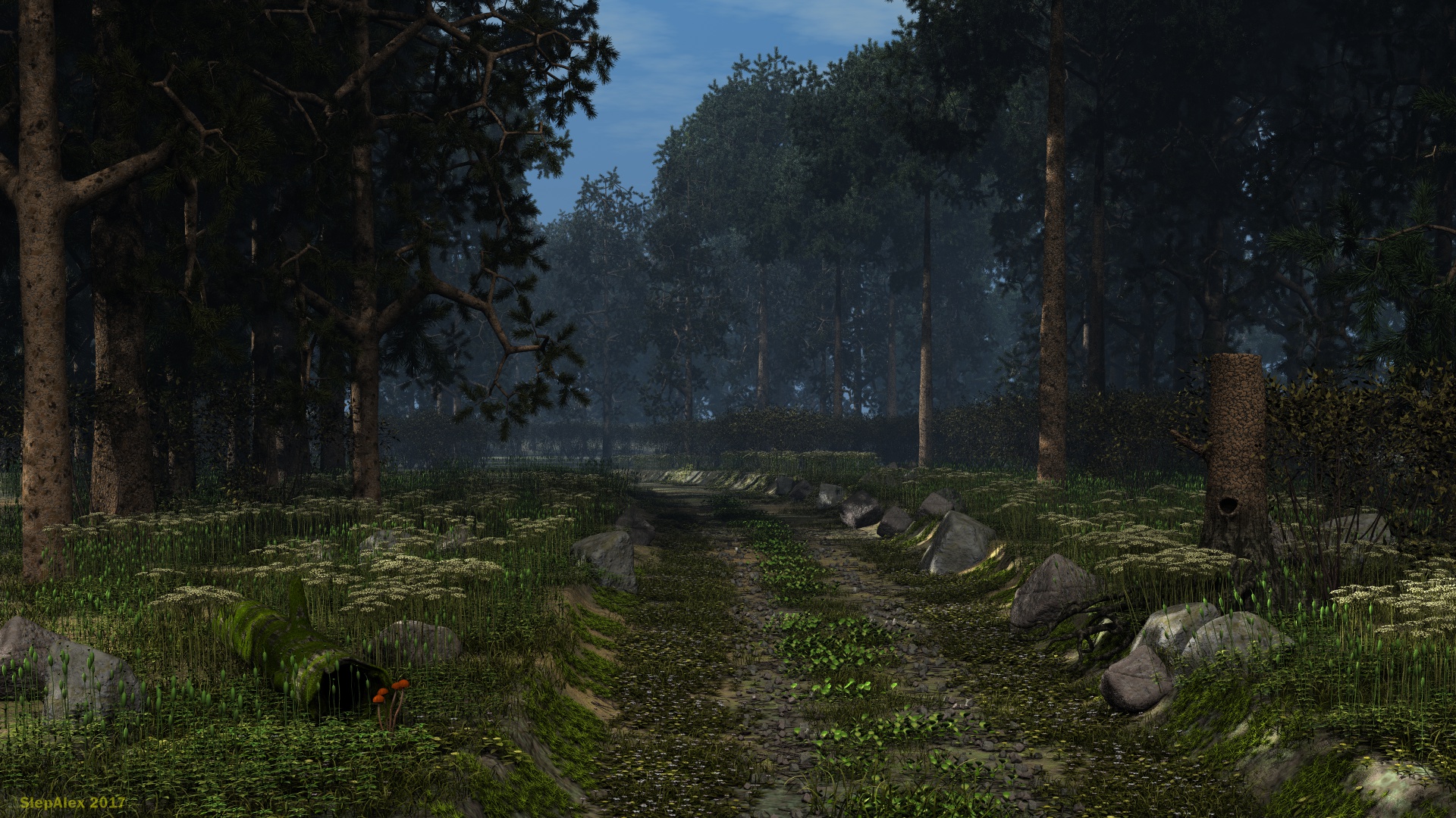 Forest Road