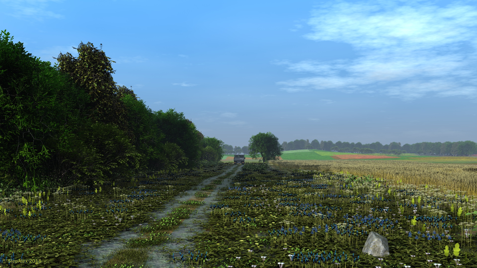 Forest belt