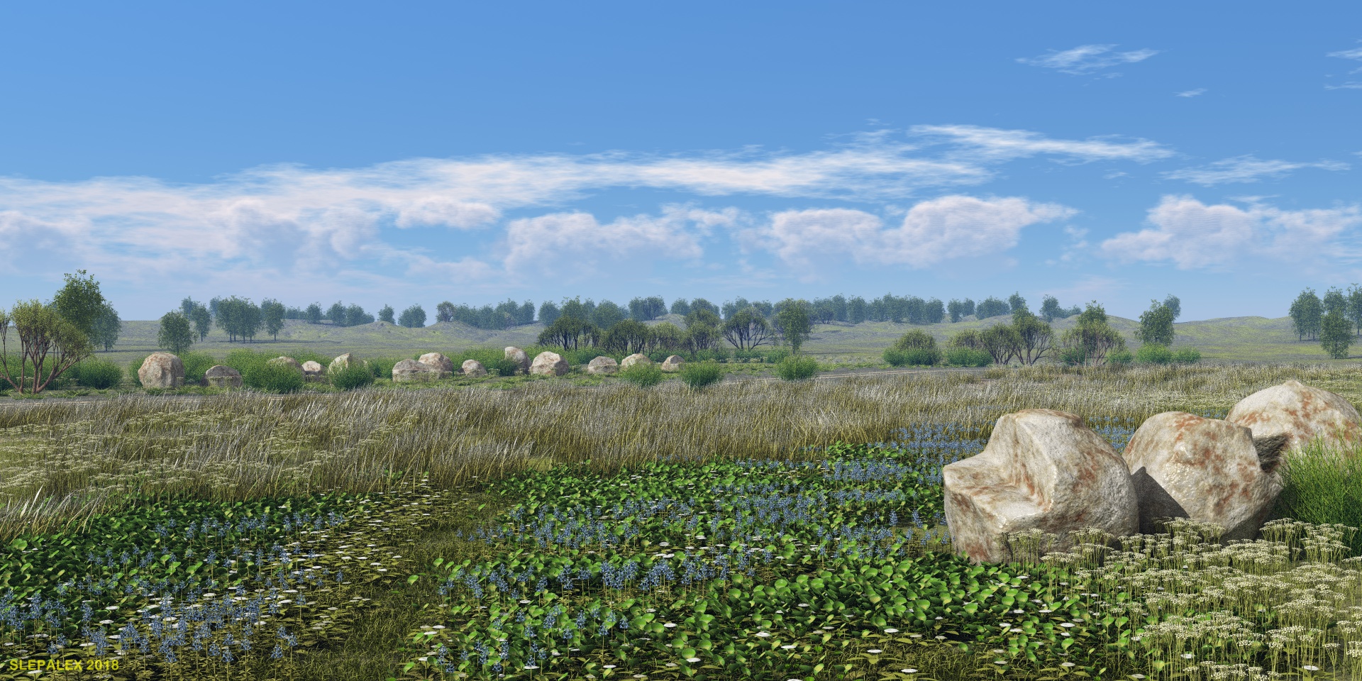Feather grass steppe