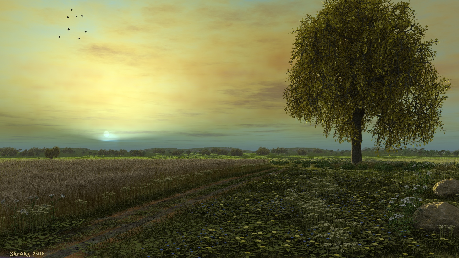 Lonely oak at sunset