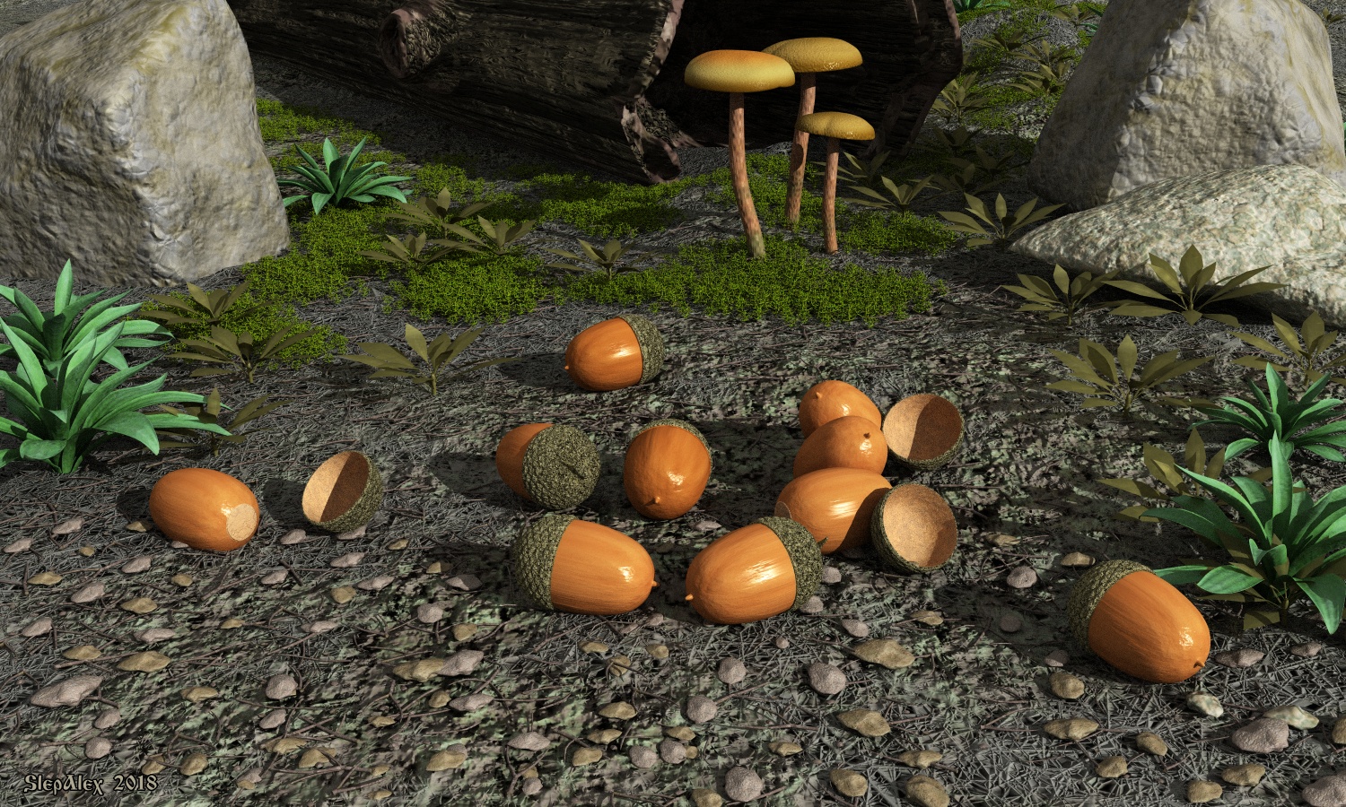 Acorns