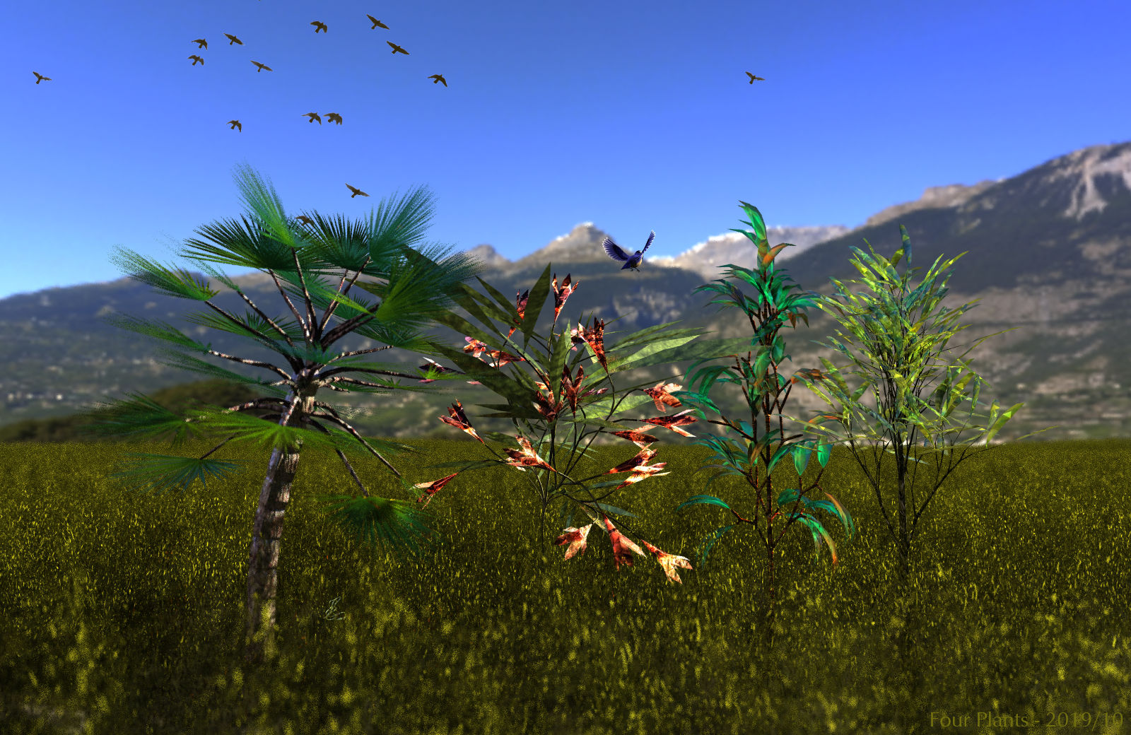 4 Plants