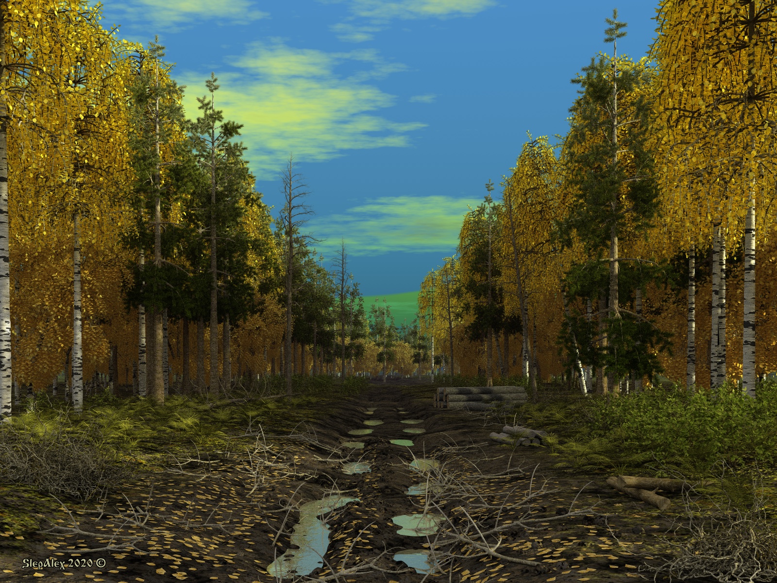 Forest rut