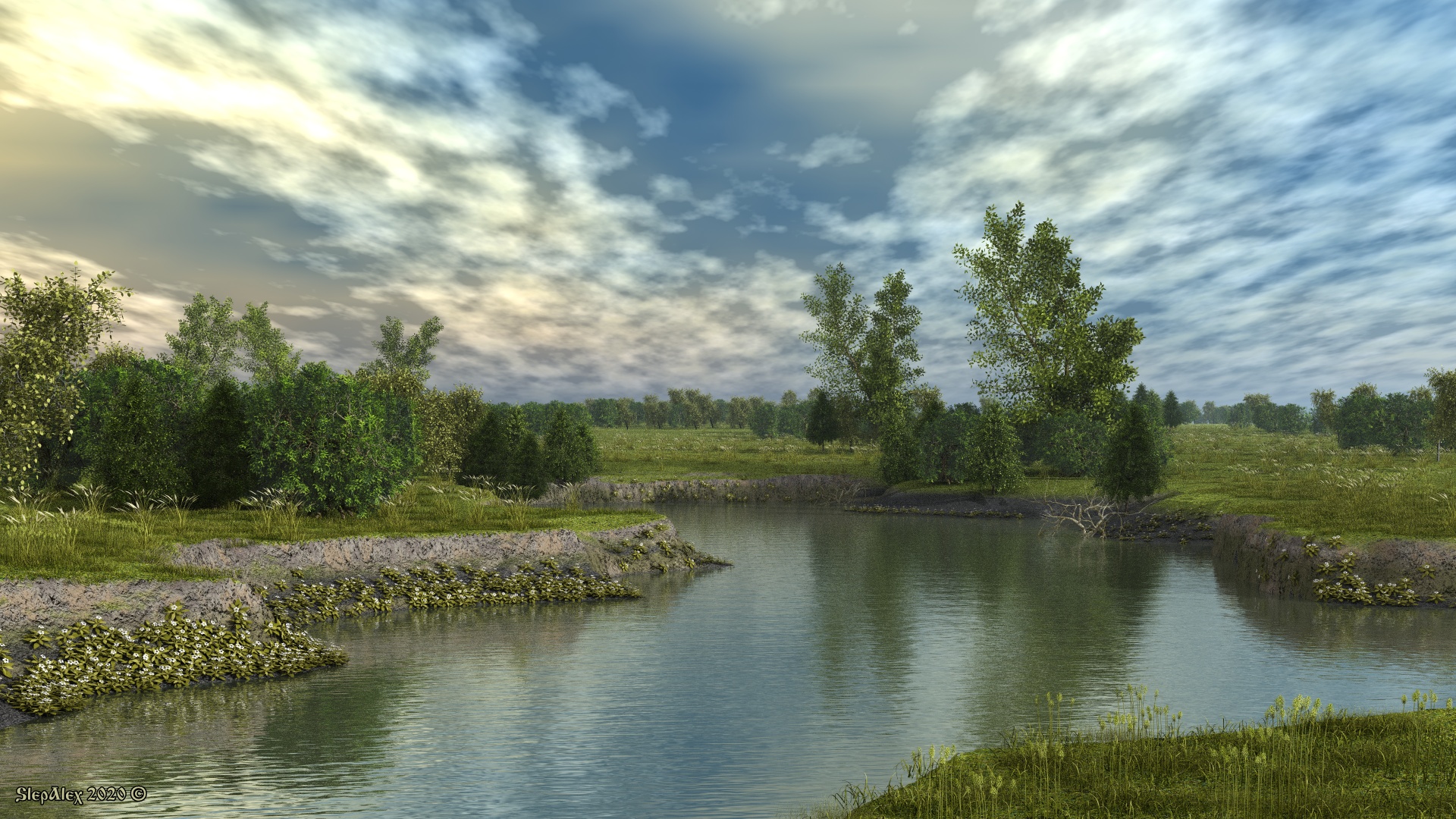 Pond