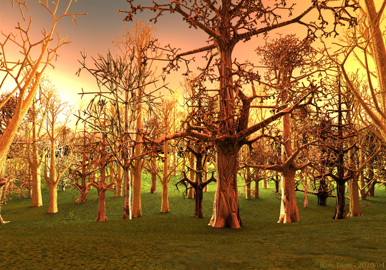 Bare Trees