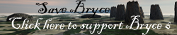 Bryce Banner