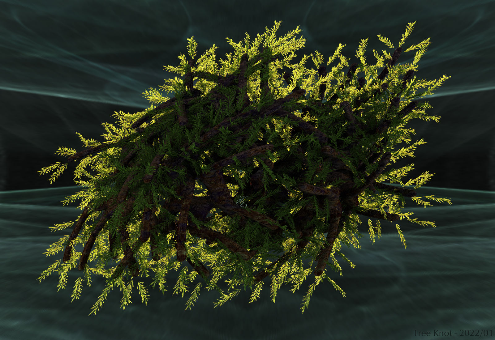 Tree Knot