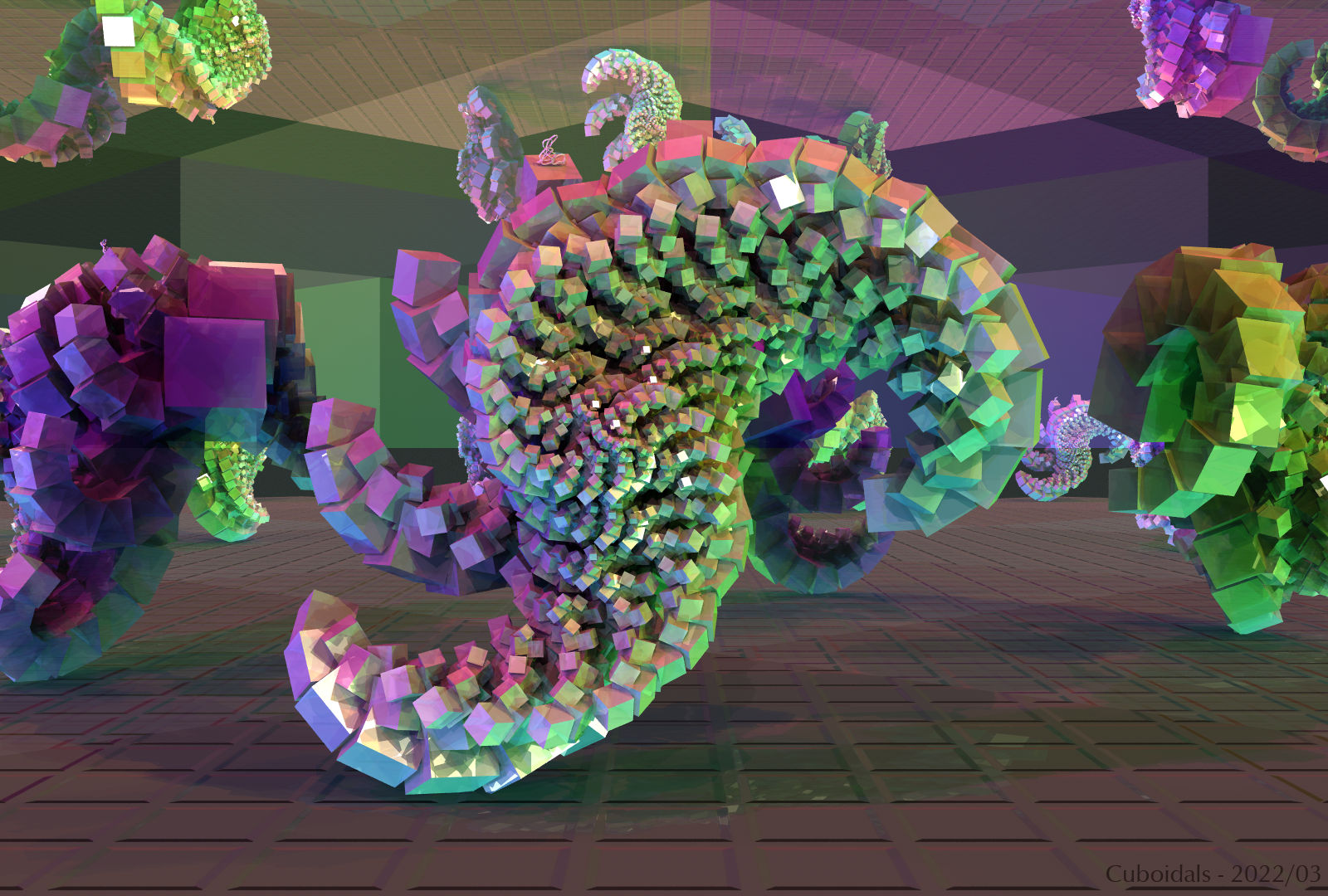 Cuboidals