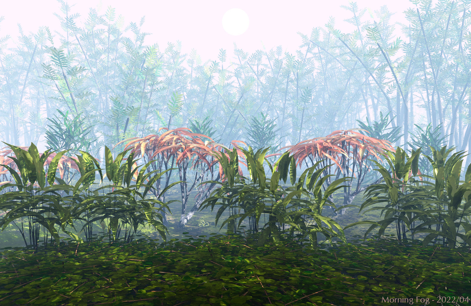Morning Fog