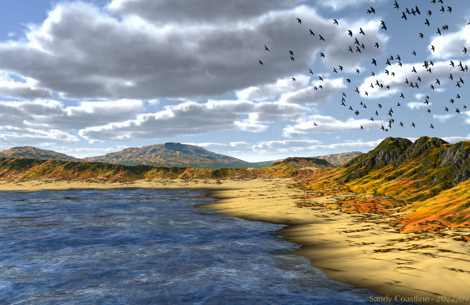 Sandy Coastline