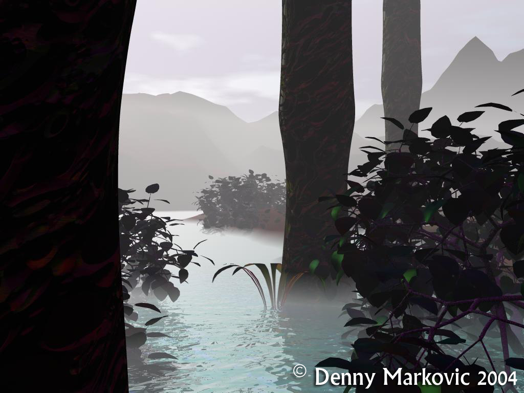 Foggy swamp