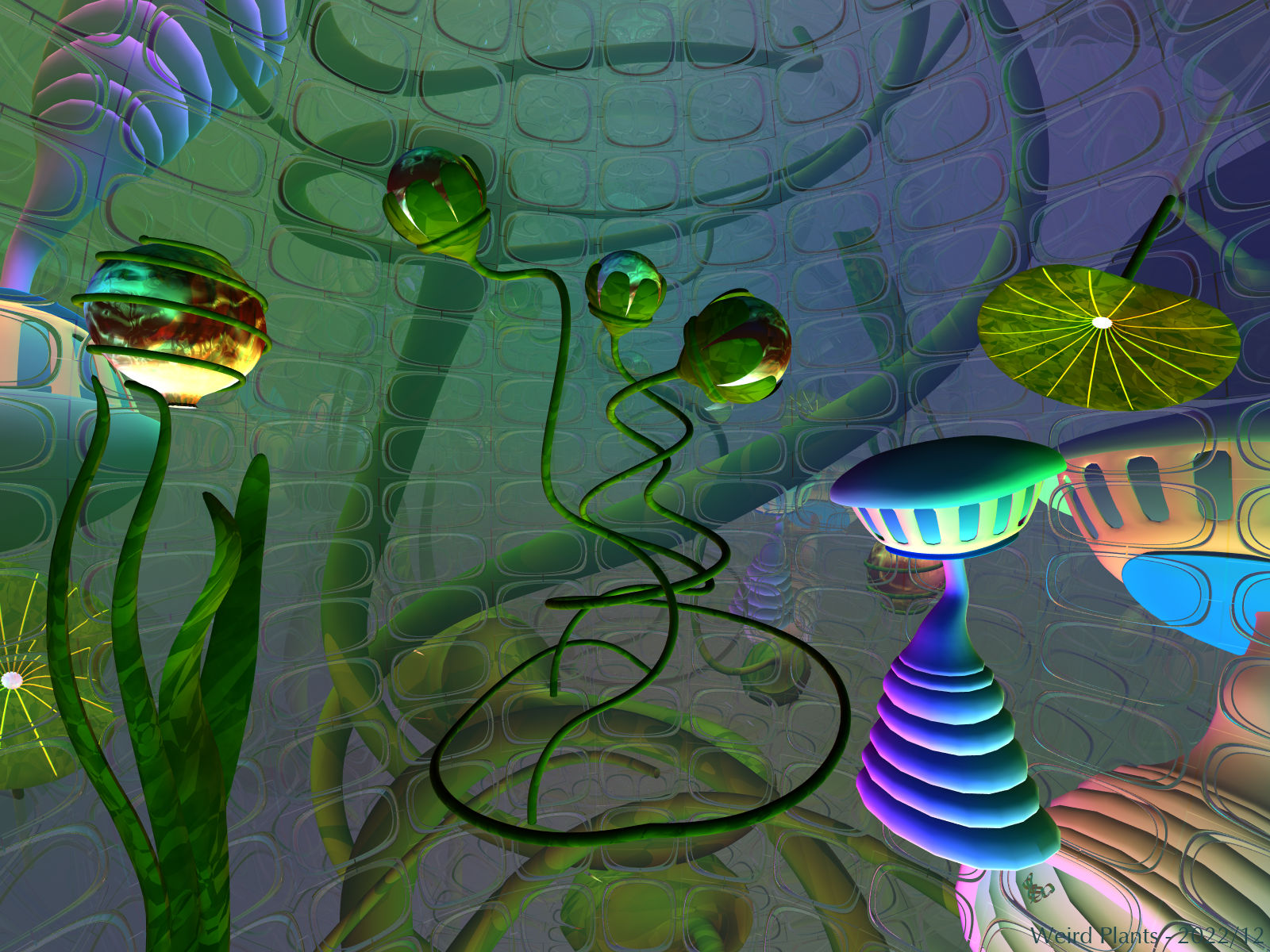 Weird Plants