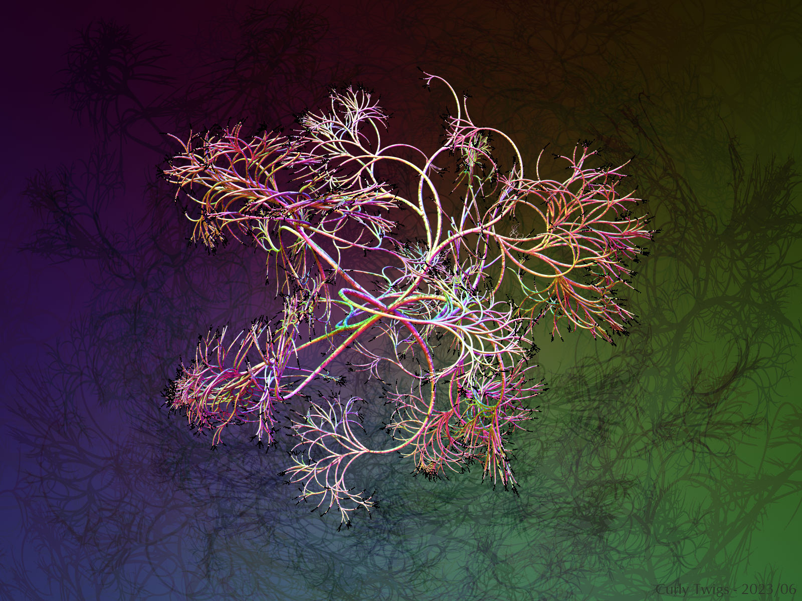 Curly Twigs