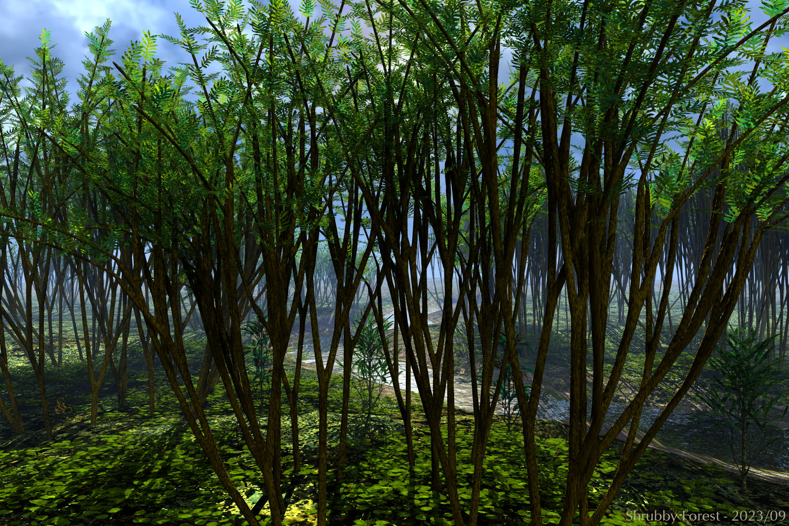 Shrubby Forest