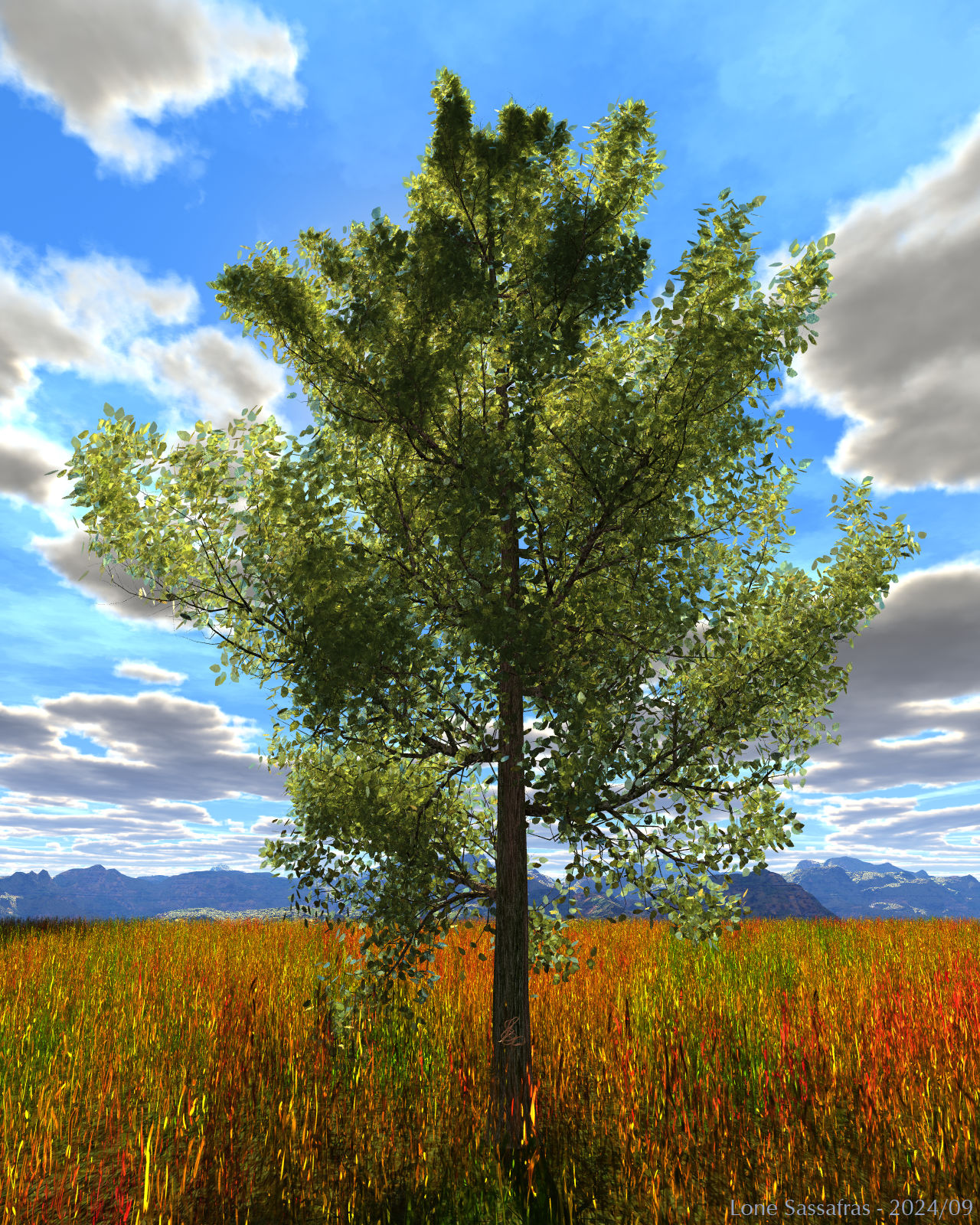 Lone Sassafras
