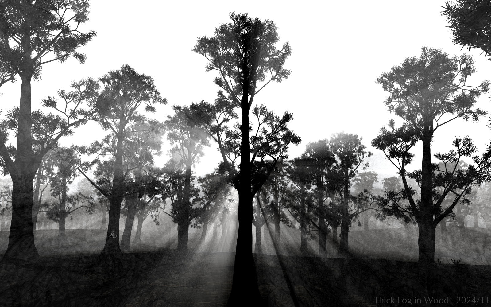 Thick Fog in Wood