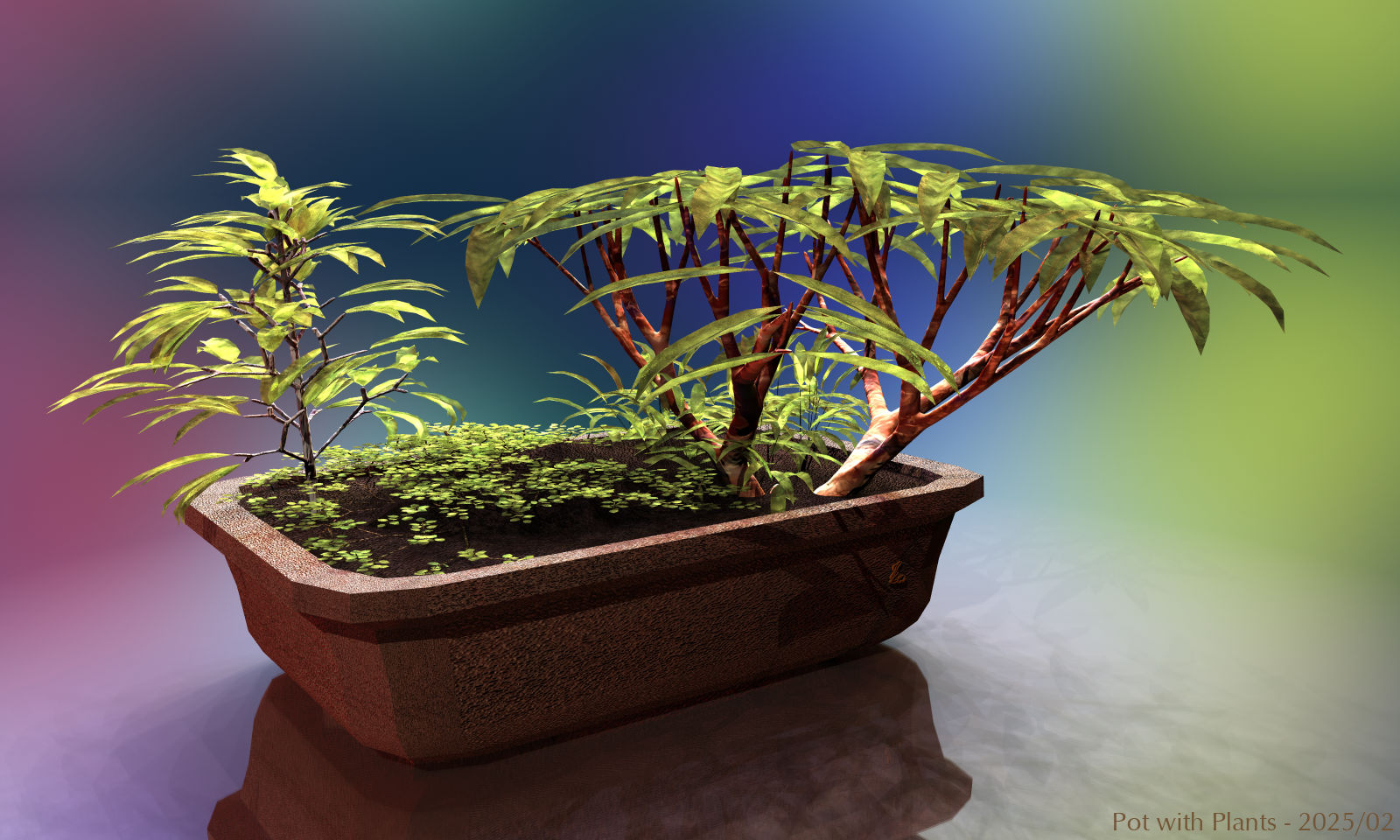 Pot with Plants