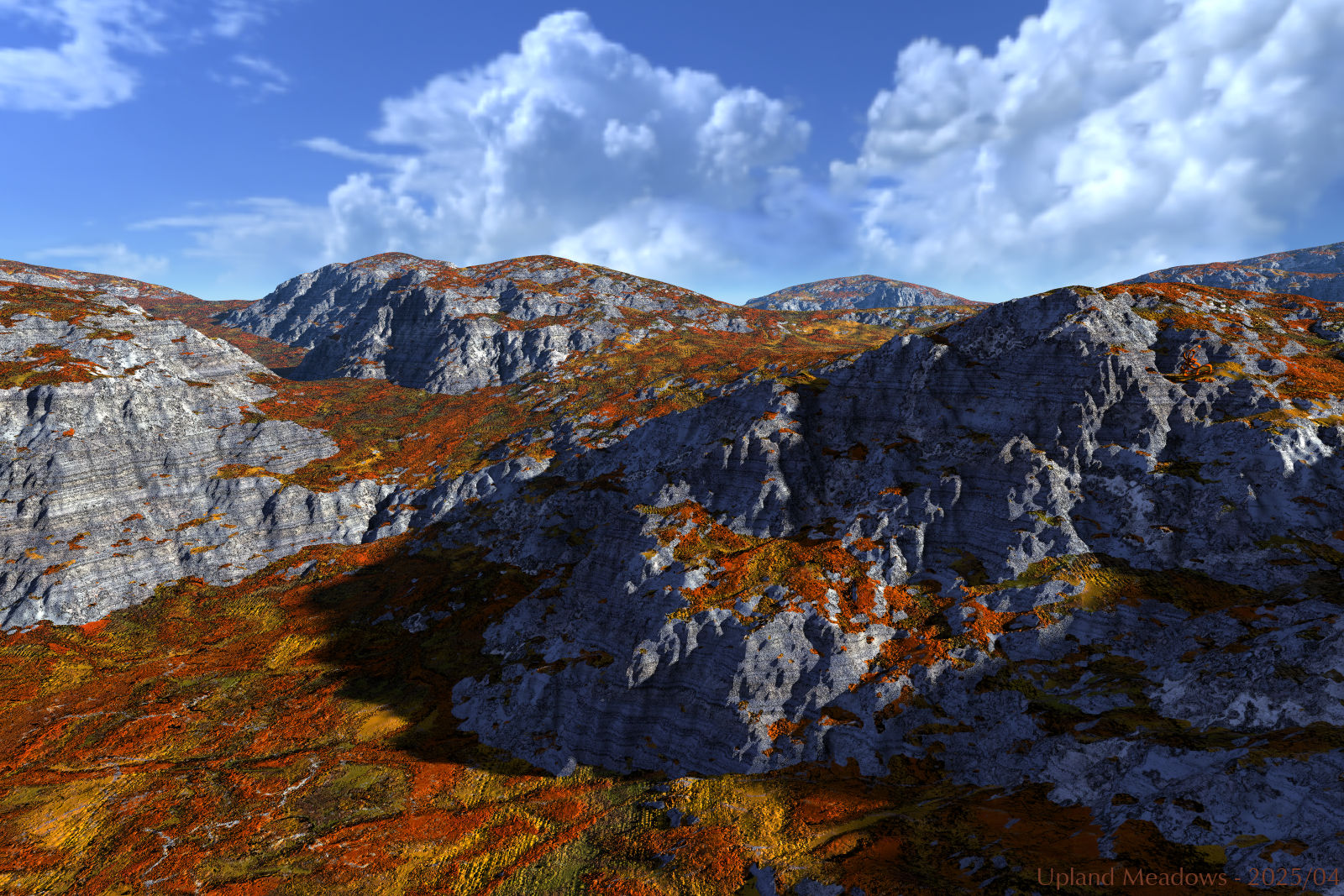 Upland Meadows