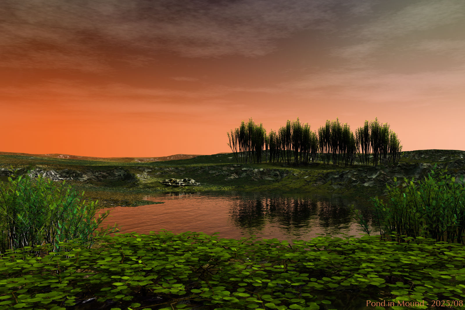 Pond in Mound