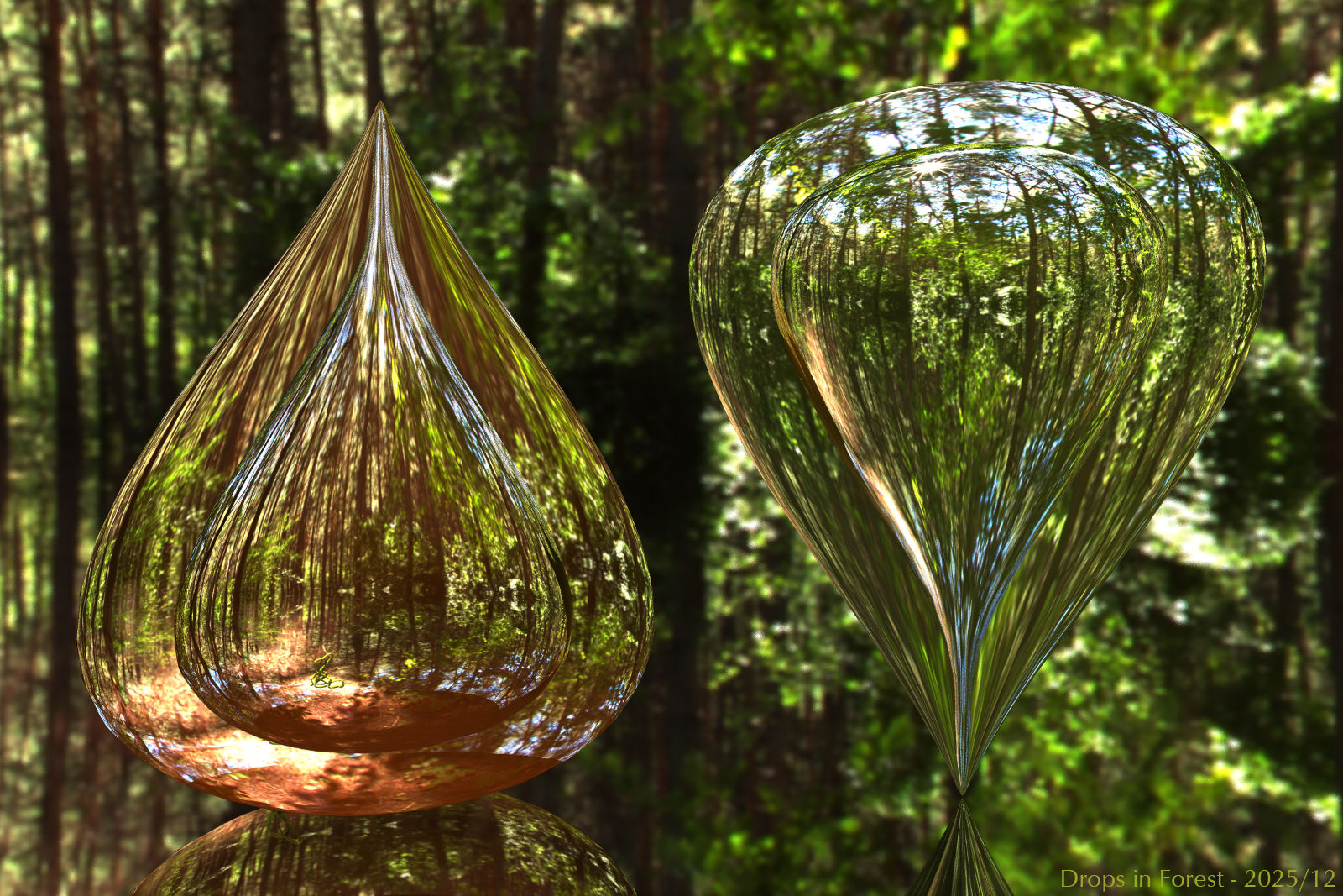 Drops in Forest