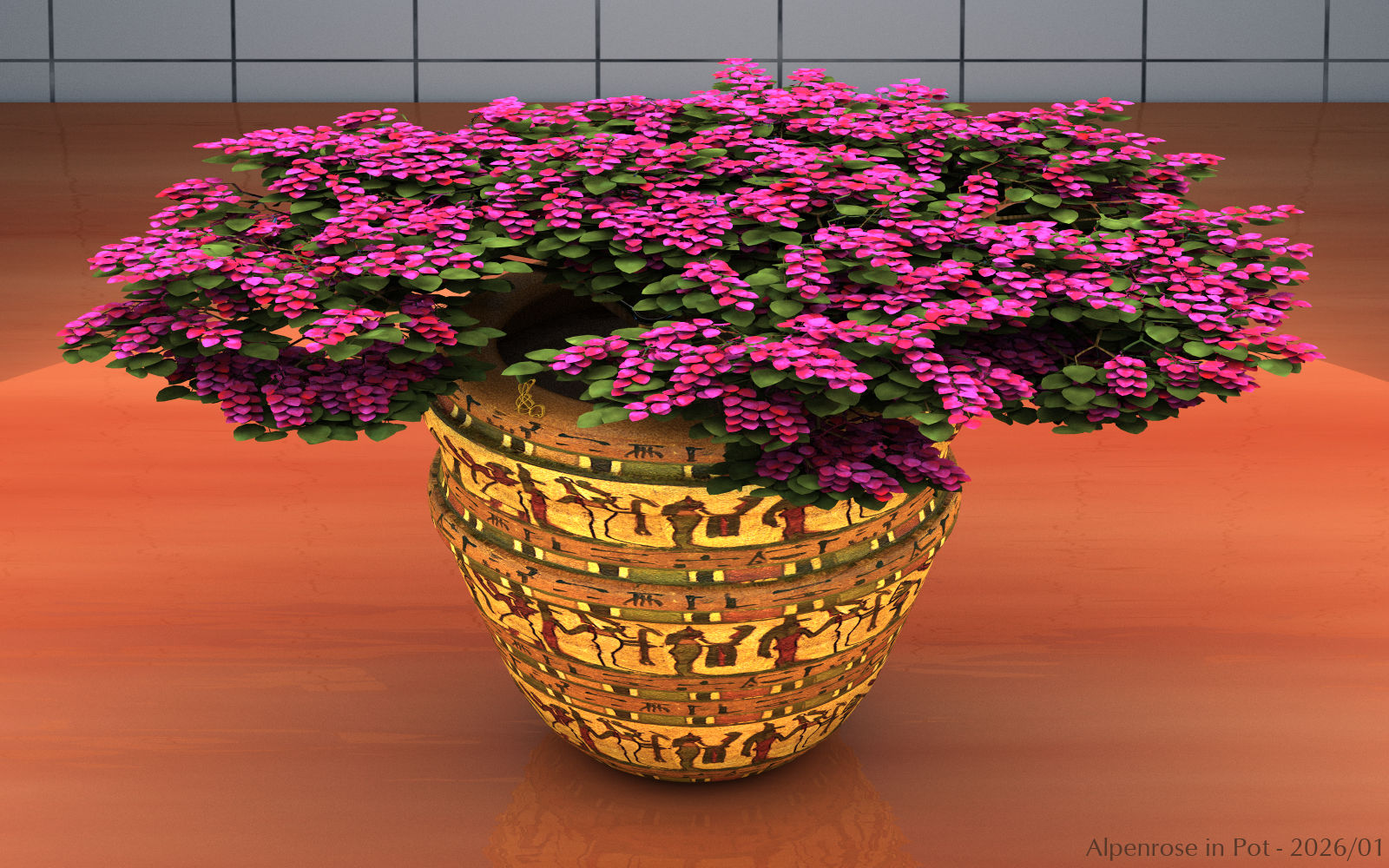 Alpenrose in Pot