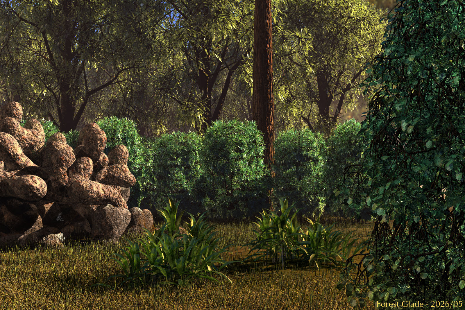 Forest Glade