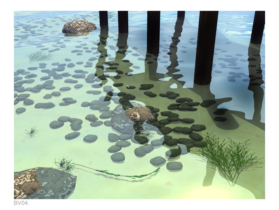 Foreshore