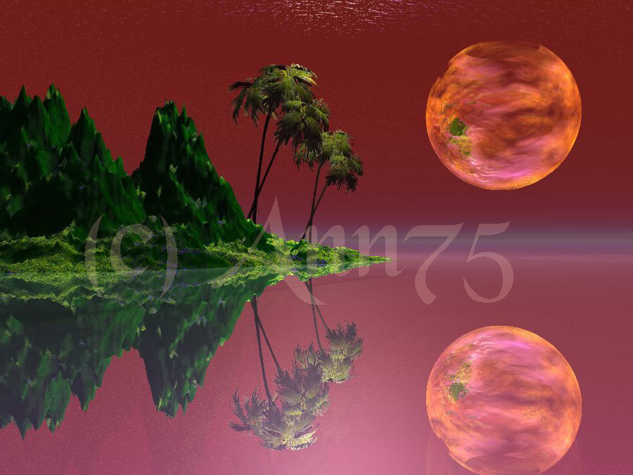 Reflections