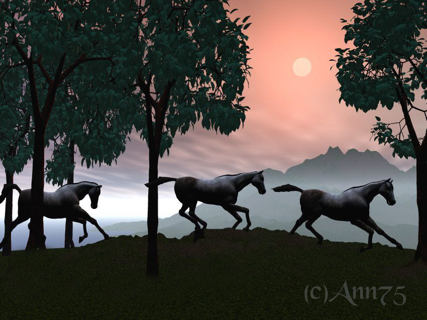 Running Wild Horses