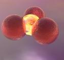 Orb fission