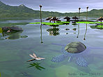 Turtles
