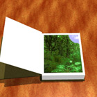 animation- Butterfly Book