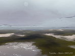 Tundra
