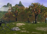 Mountain side