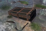 swamp security