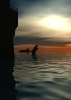 dolphins