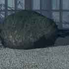 rockgarden