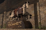 quarter horse