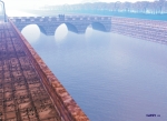 Puente en la niebla