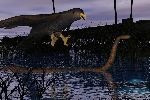 midnite snake