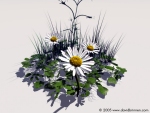 DaisyMKII
