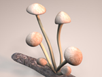 Mushroom Log