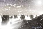 Snow Fog